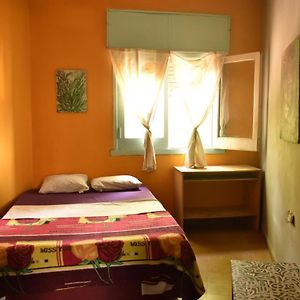 Habitación con 2 Camas Individuales